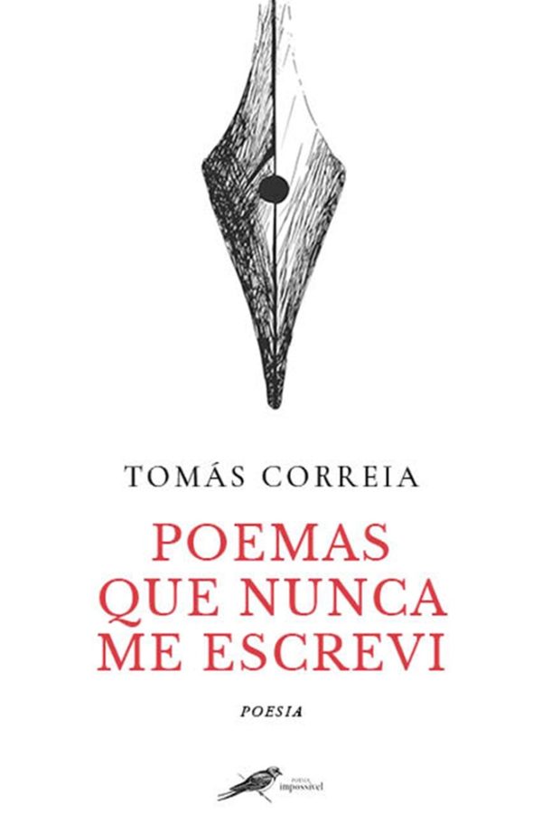 Poemas Que Nunca Me Escrevi