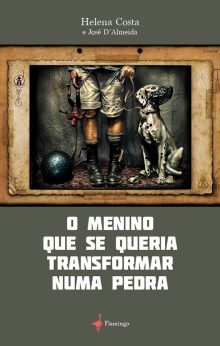 O Menino Que se Queria Transformar numa Pedra