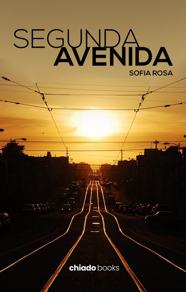 Segunda avenida