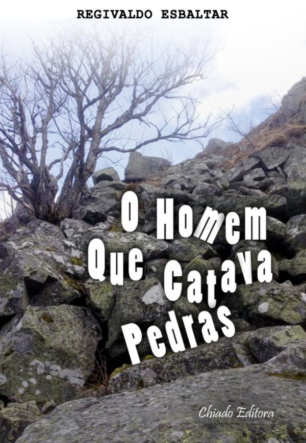 O Homem Que Catava Pedras