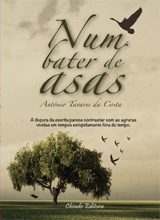Num Bater de Asas
