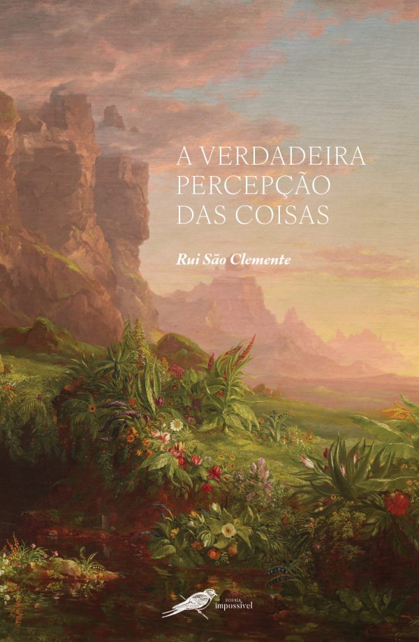 A Verdadeira Percepção das Coisas