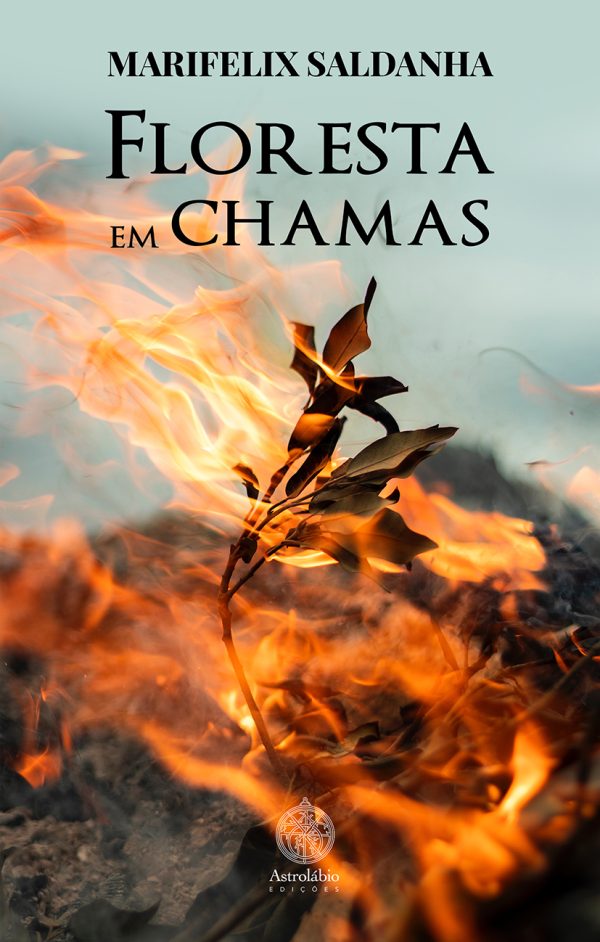 Floresta em chamas