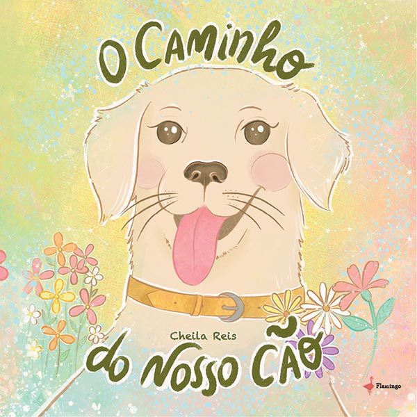 O caminho do nosso cão