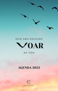 Este Ano Escolho Voar Na Vida