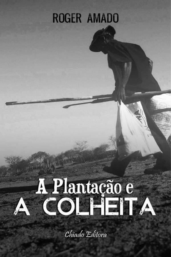 A plantação e a colheita