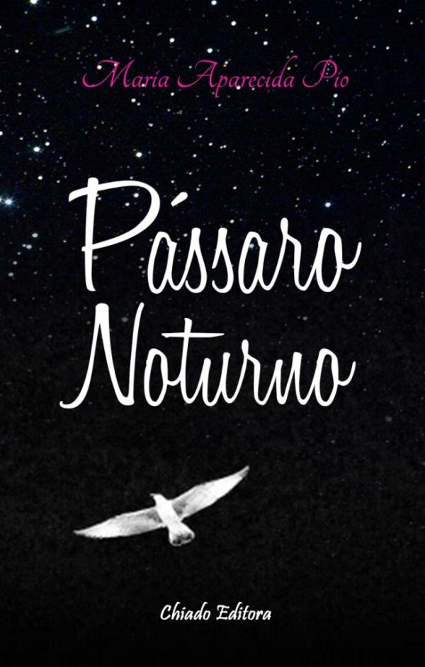 Pássaro Noturno