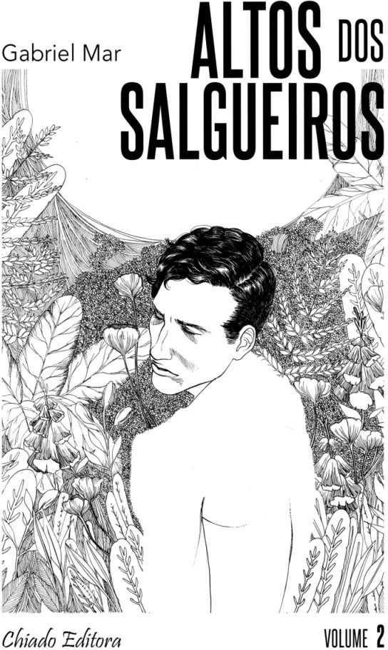 Alto dos Salgueiros – Volume II