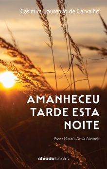 Amanheceu tarde esta noite (Poesia Visual e Poesia Literária)
