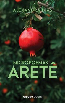 Micropoemas Aretê