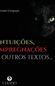 Intuições, Impregnações e outros textos