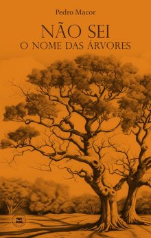 Não sei o nome das árvores