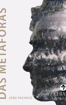 No silêncio das metáforas