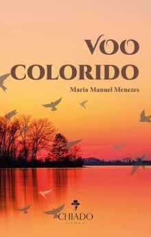 Voo colorido