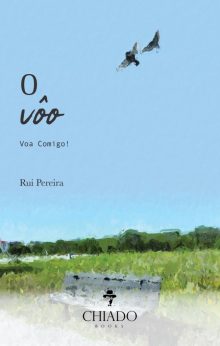 O Vôo