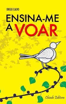 Ensina-me a Voar