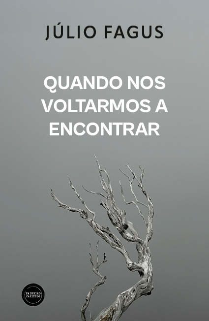 Quando Nos Voltarmos a Encontrar