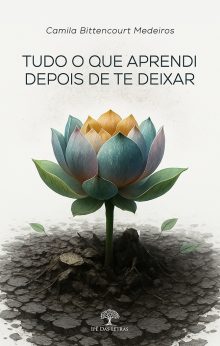 Tudo o que aprendi depois de te deixar