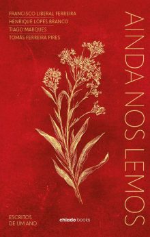 Ainda nos lemos - Escritos de um ano