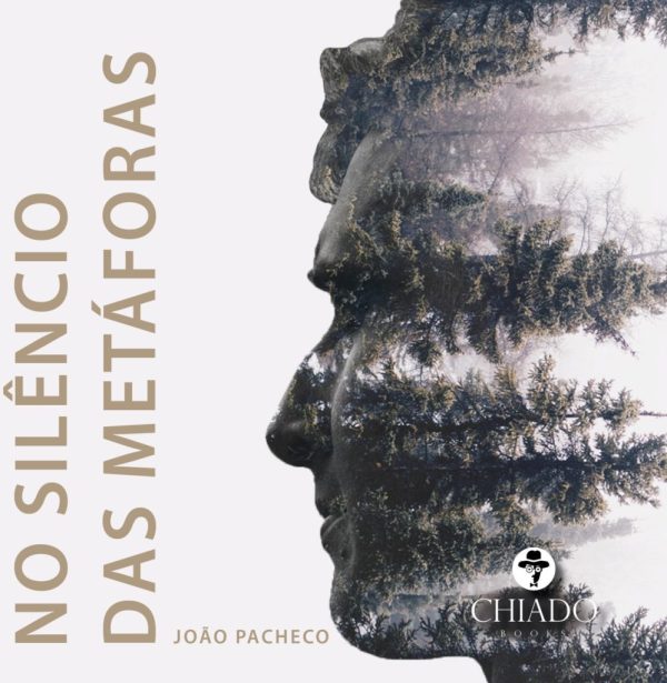 No silêncio das metáforas