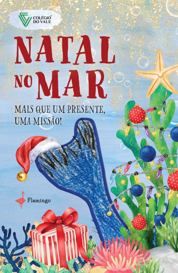 Natal no Mar: mais que um presente, uma Missão!