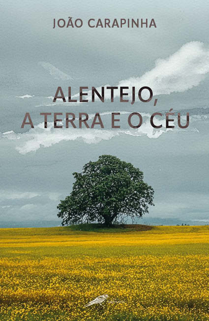Alentejo, a Terra e o Céu