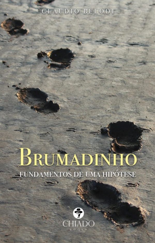 Brumadinho - Fundamentos de uma hipótese