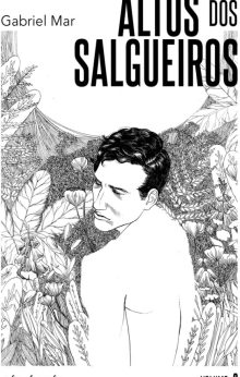 Alto dos Salgueiros – Volume II