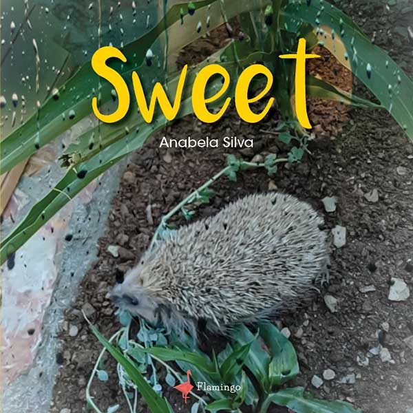 Sweet