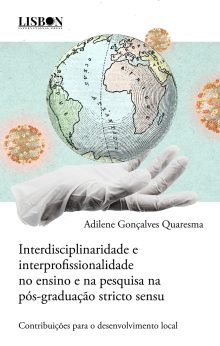 Interdisciplinaridade e interprofissionalidade no ensino e na pesquisa na pós-graduação stricto sensu - contribuições para o desenvolvimento local