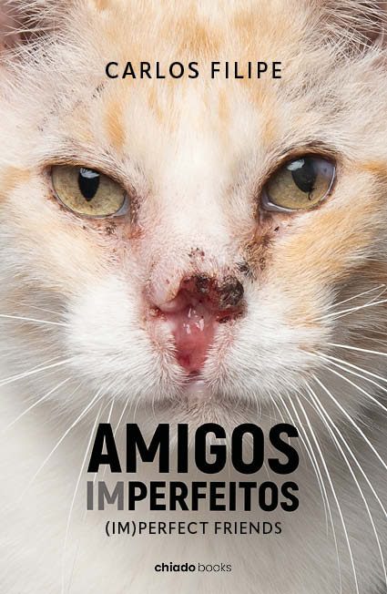 Amigos (im)perfeitos