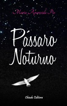 Pássaro Noturno