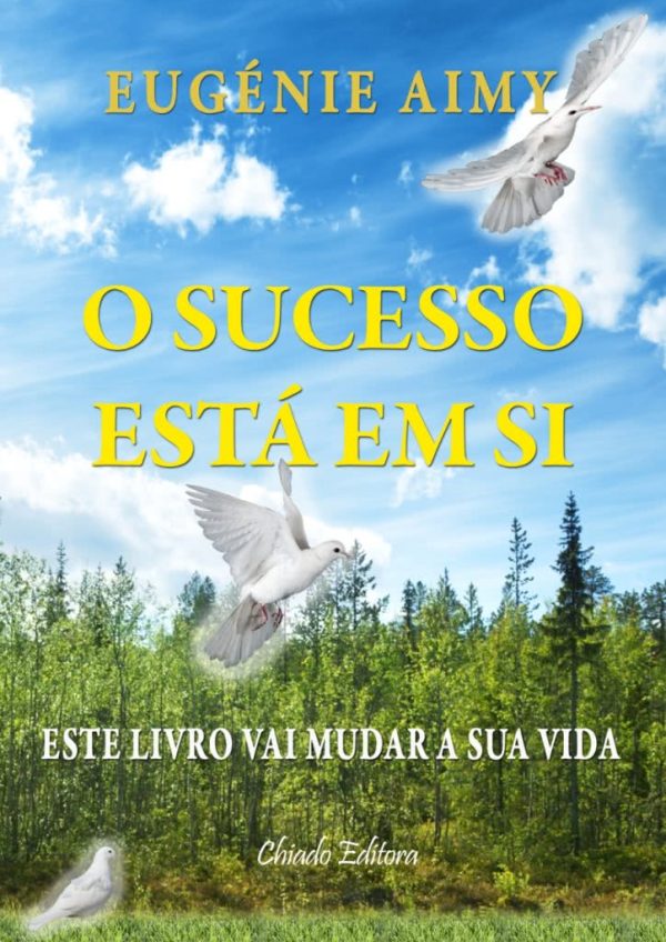 O Sucesso Está em Si