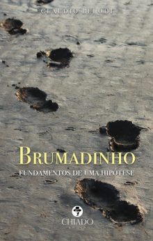 Brumadinho - Fundamentos de uma hipótese