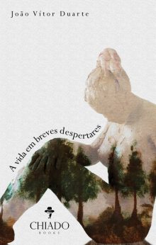 A vida em breves despertares