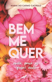 Bem Me Quer - muito, pouco ou (quase) nada