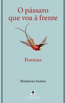 O pássaro que voa à frente