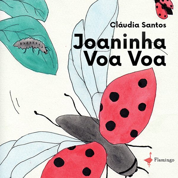 Joaninha voa voa