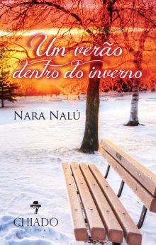 Um Verão Dentro do Inverno