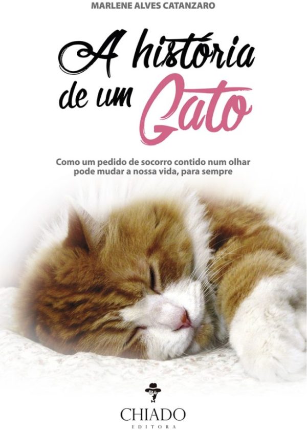 A História de um Gato – Como um pedido de socorro contido num olhar pode mudar a nossa vida, para sempre