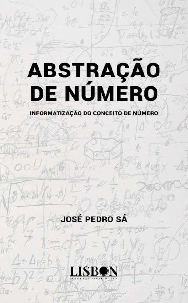 Abstração de Número - Informatização do conceito de número