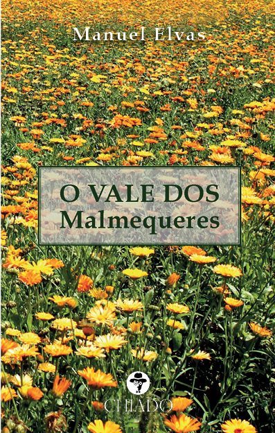 O Vale dos Malmequeres