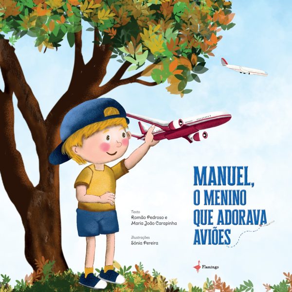 O Manuel, o menino que adorava aviões