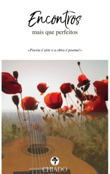 ENCONTROS mais que perfeitos