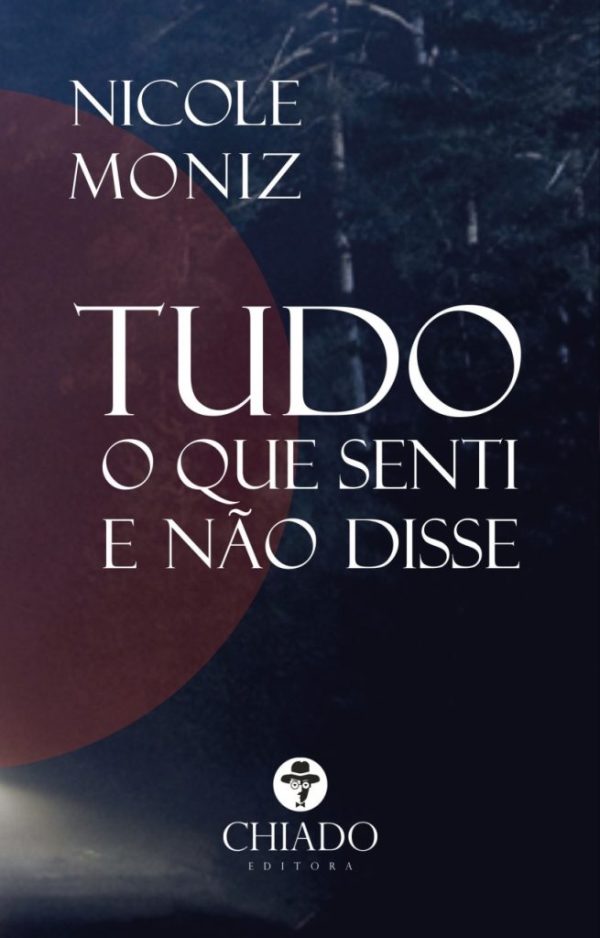 Tudo o que Senti e não Disse