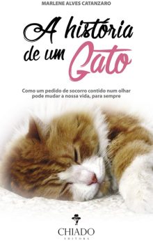 A História de um Gato – Como um pedido de socorro contido num olhar pode mudar a nossa vida, para sempre