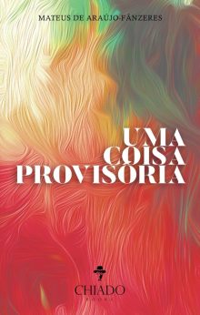 Uma coisa provisória