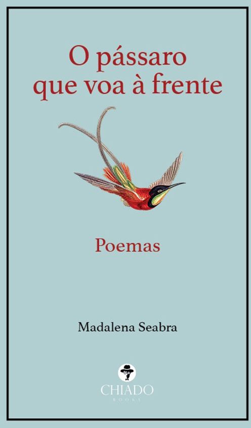 O pássaro que voa à frente