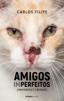 Amigos (im)perfeitos