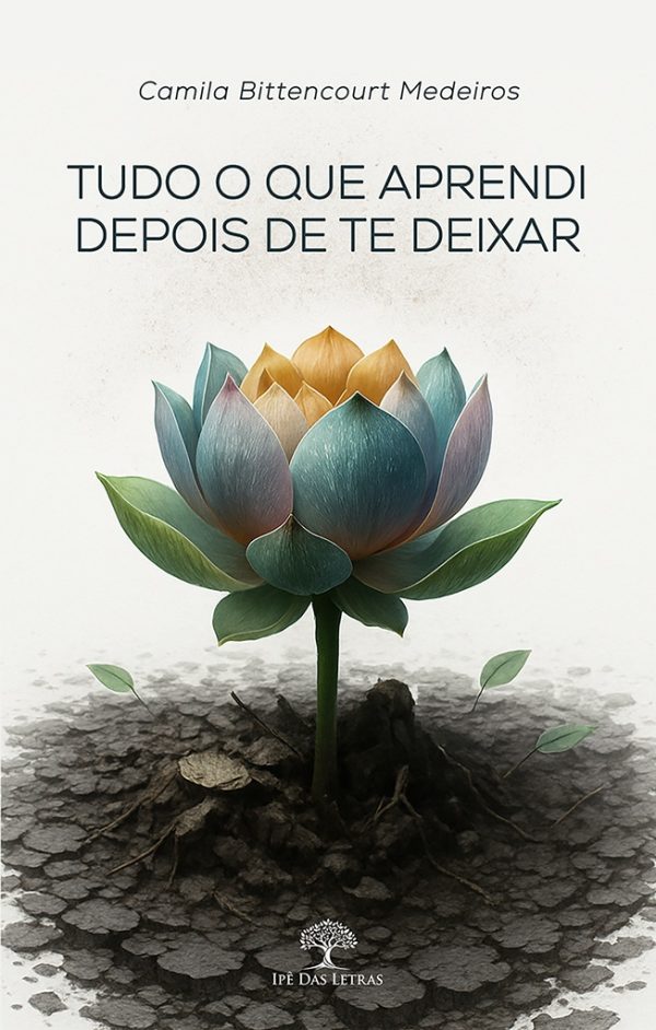 Tudo o que aprendi depois de te deixar